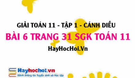 Giải bài 6 trang 31 Toán 11 tập 1 SGK Cánh Diều